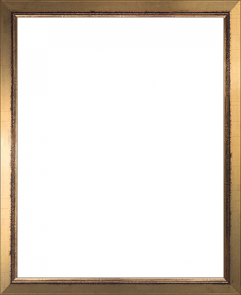 Burnished Gold Frame 16" X 20"