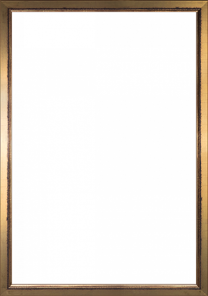 Burnished Gold Frame 24" X 36"