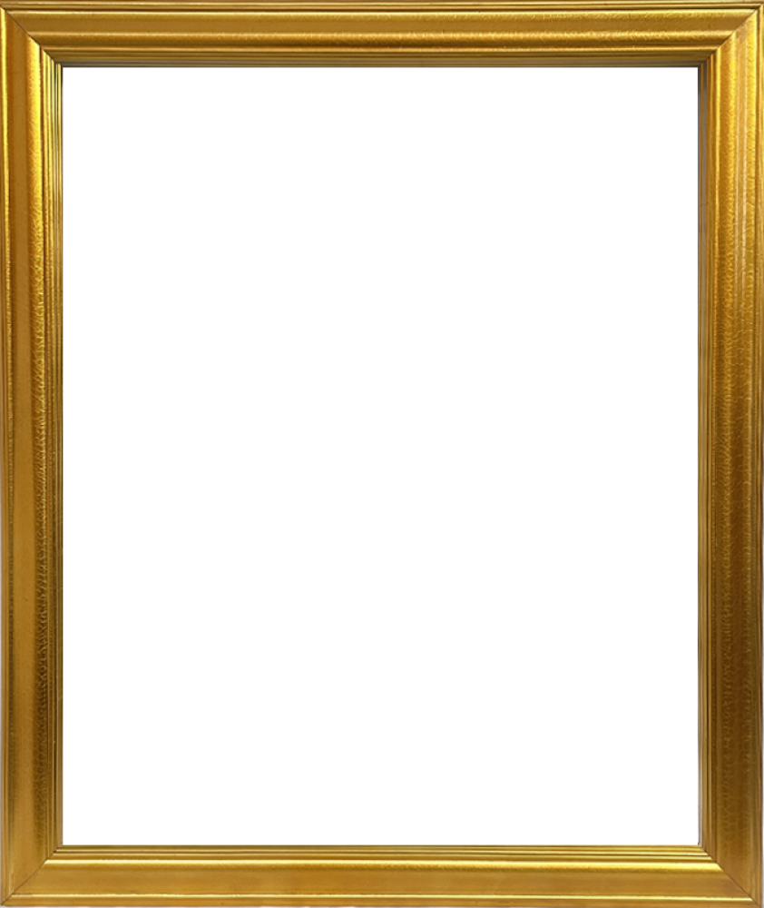 Gold Luminoso Frame 20"X24"