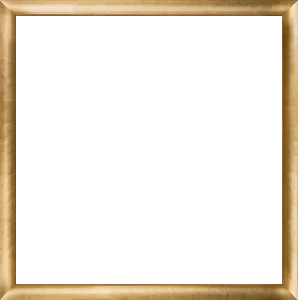 Gold Luminoso Frame 24"X24"