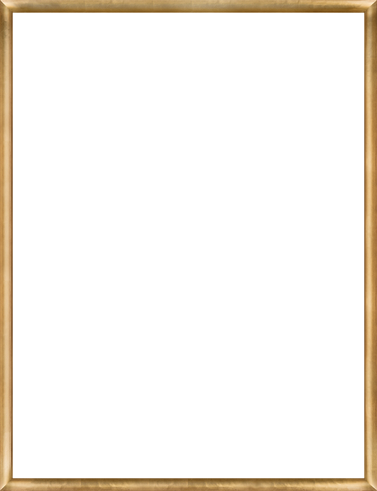 Gold Luminoso Frame 36"x48"