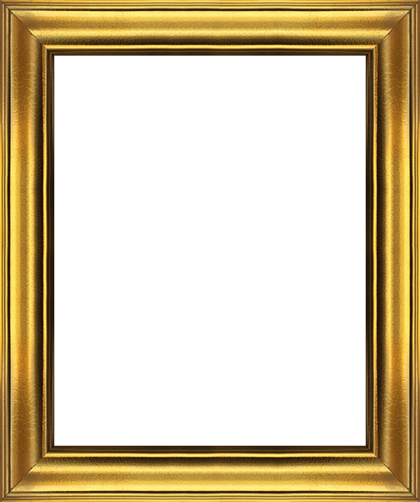 Gold Luminoso Frame 8"x10"