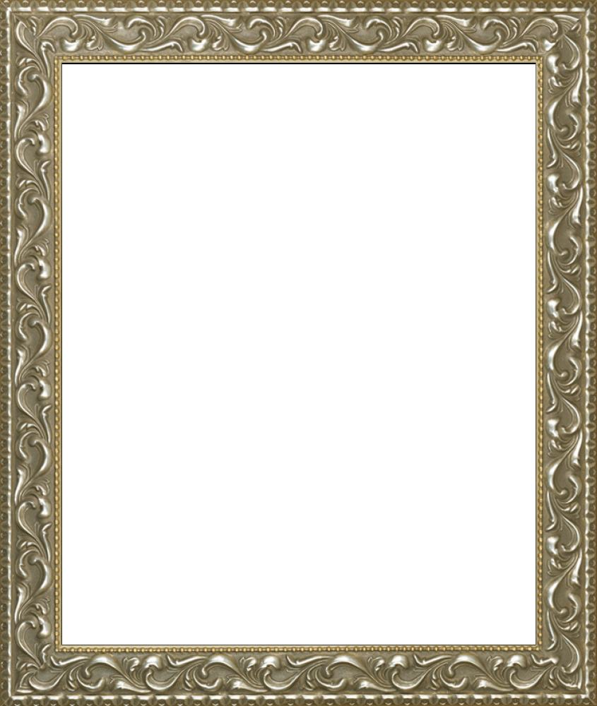 Rococo Silver 20"X24"