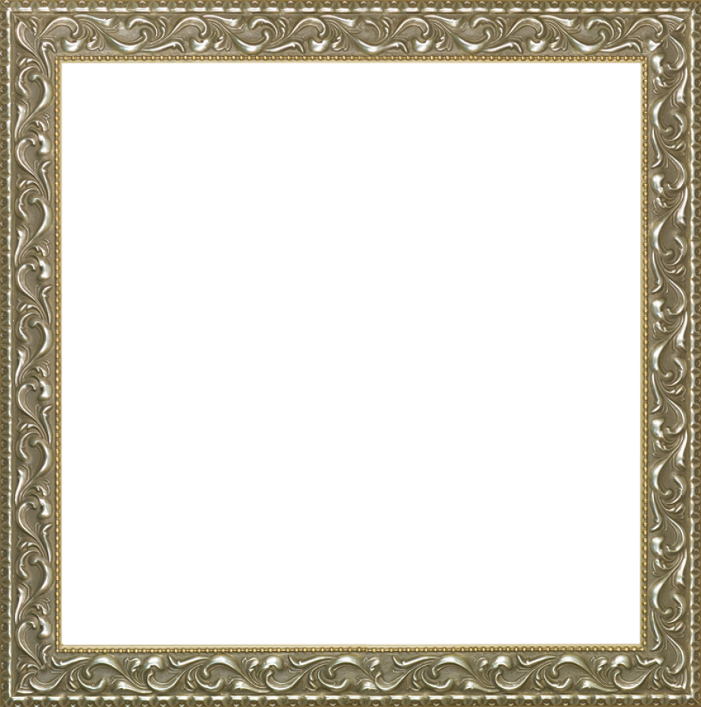 Rococo Silver 24"X24"
