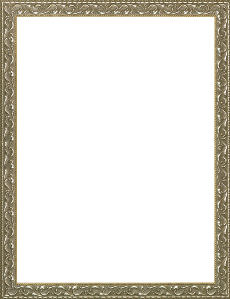 Rococo Silver 30"X40"