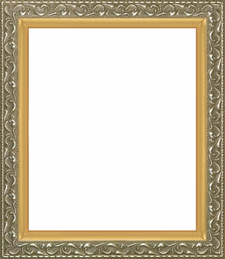 Rococo Silver and Piccino Luminoso Custom Stacked Frame 20" X 24"