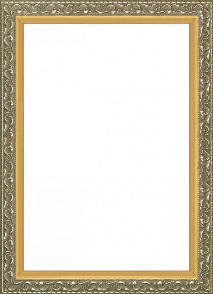 Rococo Silver and Piccino Luminoso Custom Stacked Frame 24" X 36"