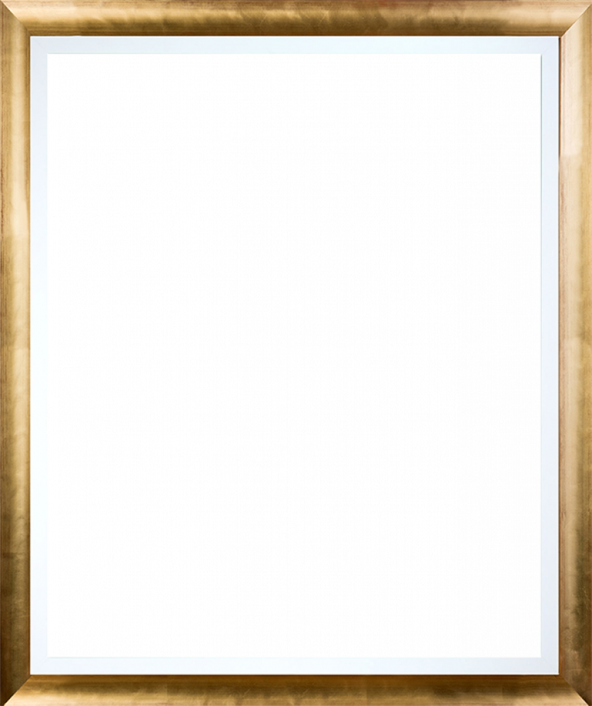 Gold Luminoso with Studio White Custom Stacked Frame 20" X 24"