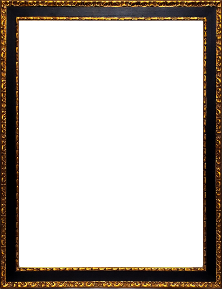 Verona Black and Gold Braid 30"X40"