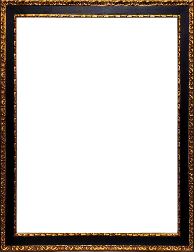 Verona Black and Gold Braid 36"X48"