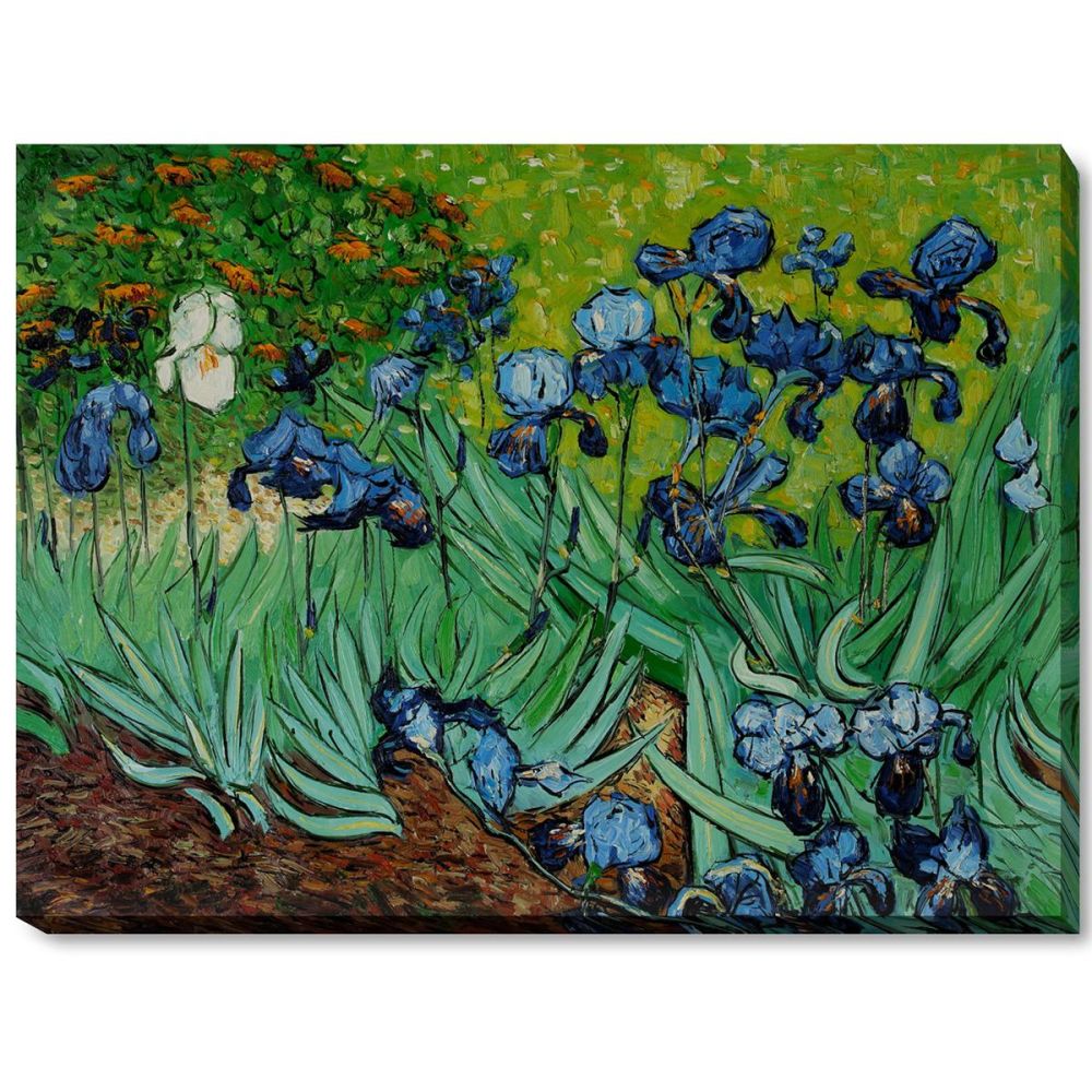 Irises Pre-Framed - Gallery Wrap 36"X48"