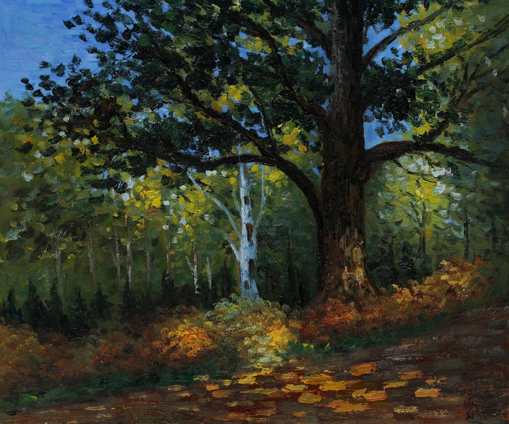 Within the Forest