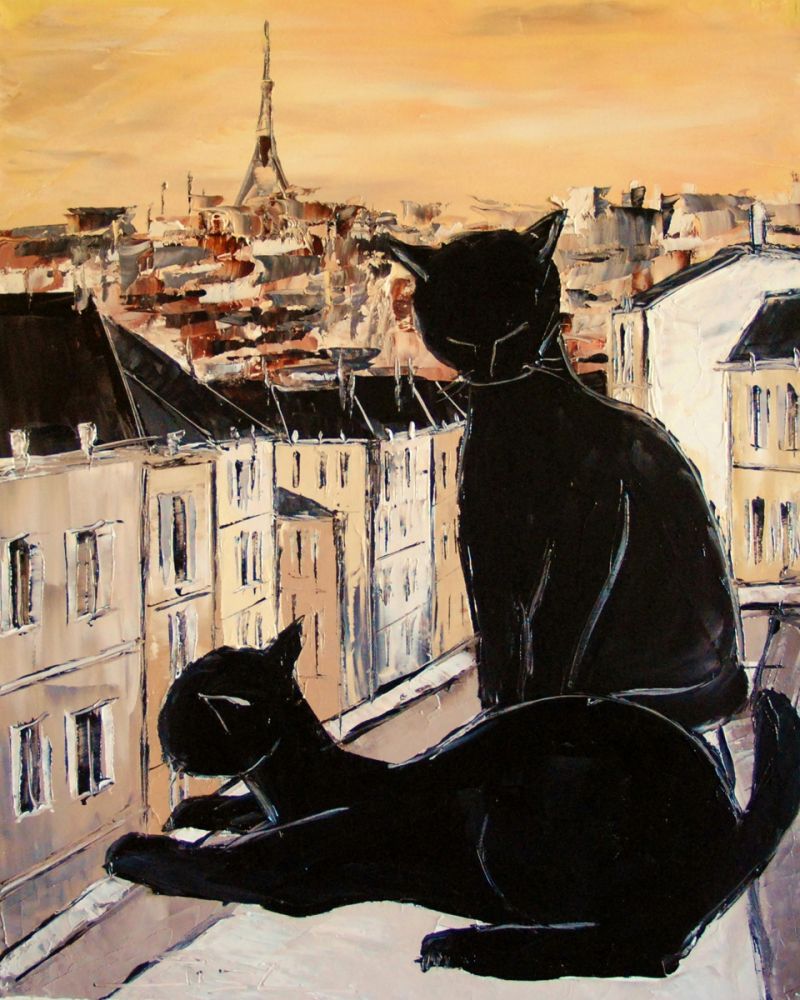 Black cat and his pretty on Paris roofs