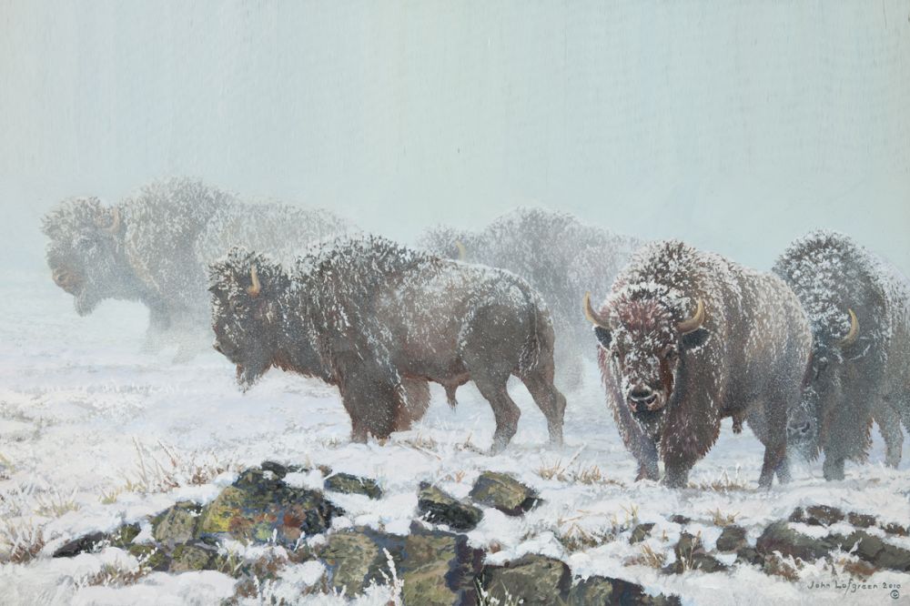 The Shapes of Winter