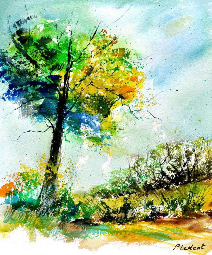 Watercolor 114062