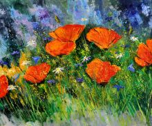 Poppies 97