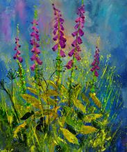 Foxgloves 671170