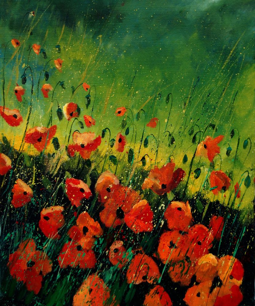 Orange poppies