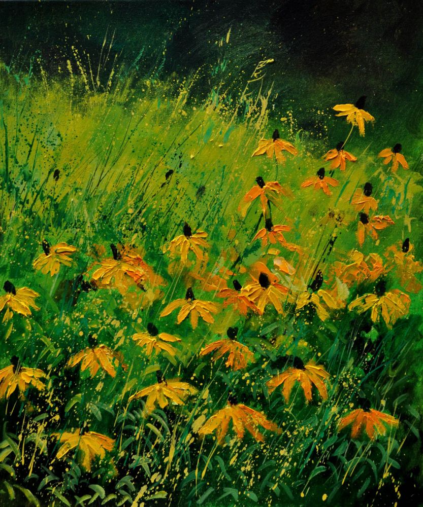 Rudbeckias 67