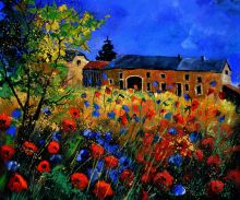 Red poppies and cornflowers in Houroy