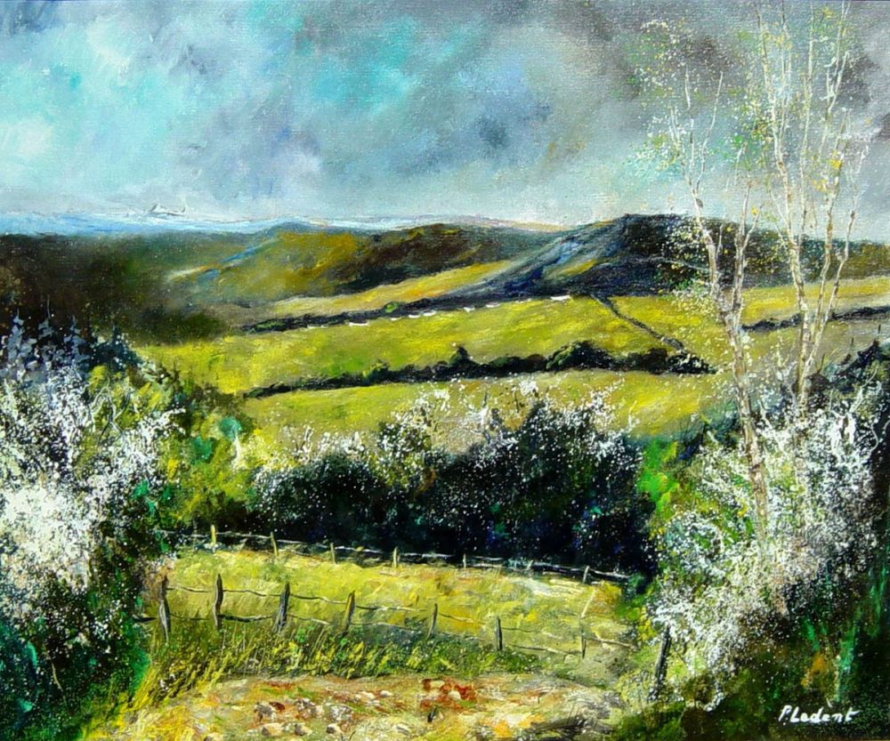 Spring in Bois Jacques