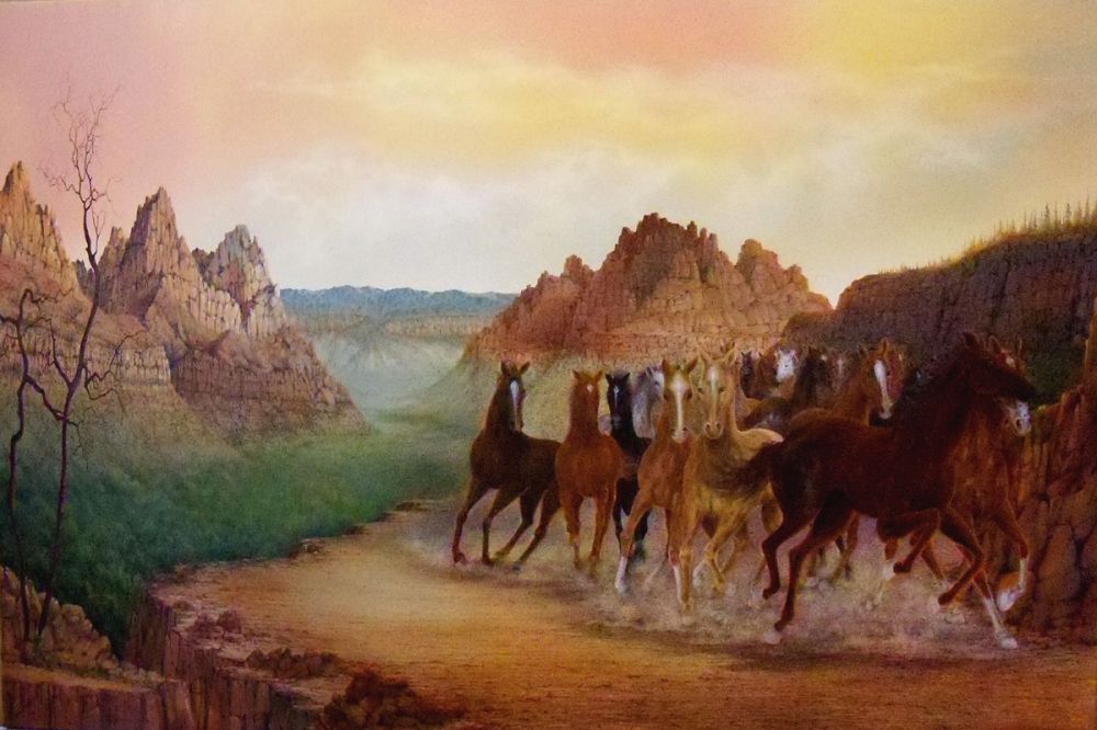 Running Wild and Free