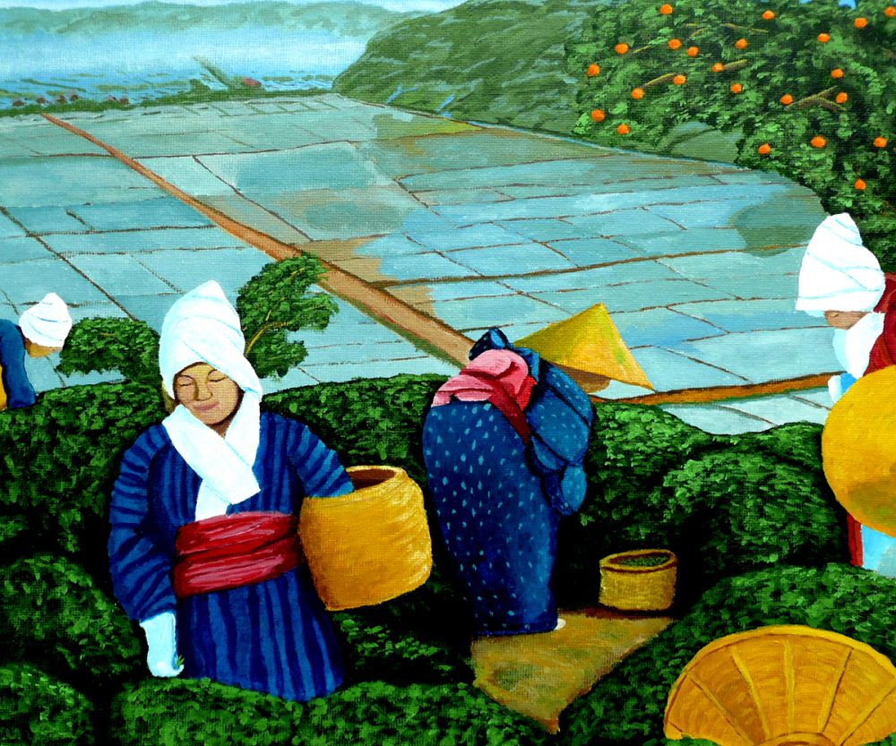 Picking Green Tea