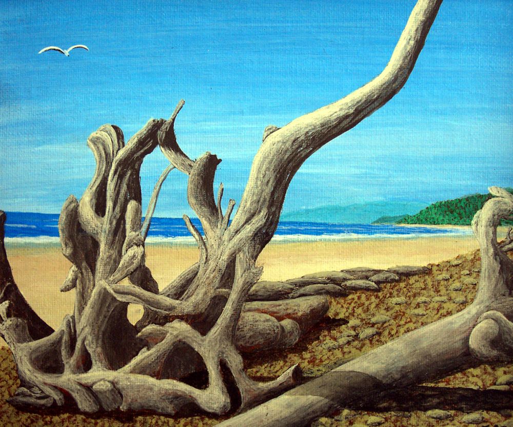 Driftwood