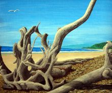 Driftwood