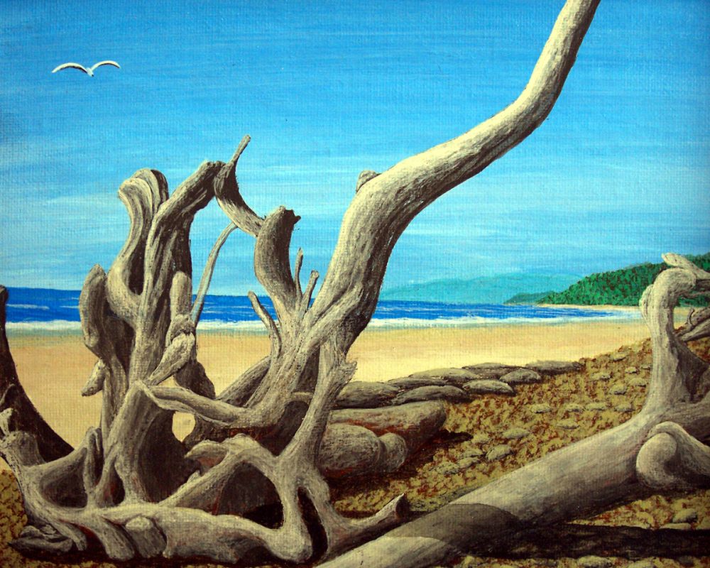 Driftwood