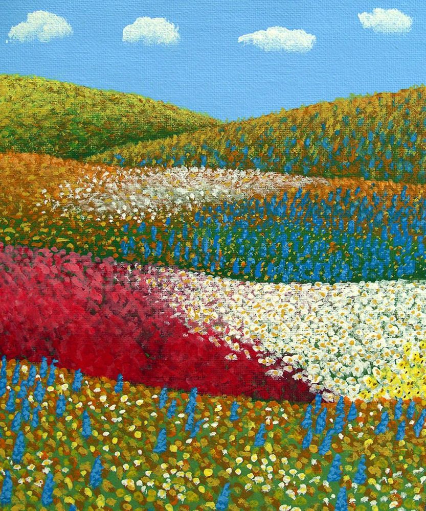 Fields of Flowers
