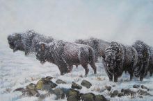 The Shapes of Winter