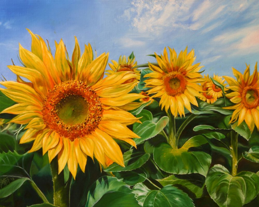 Sunflowers