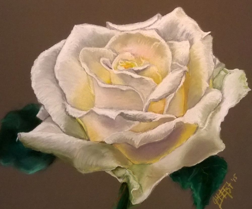 White Rose II