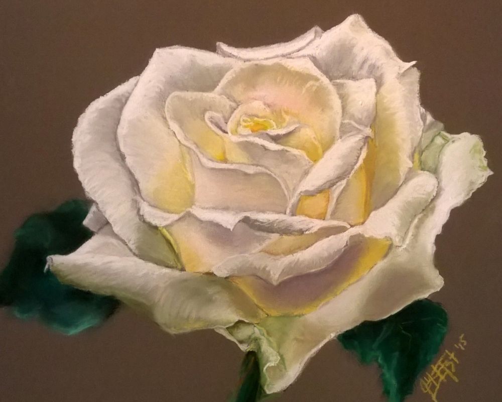 White Rose II