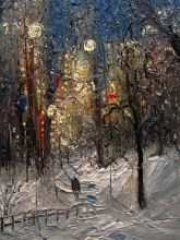 New York Central Park Winter