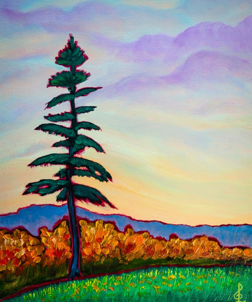 View From Castle Hill