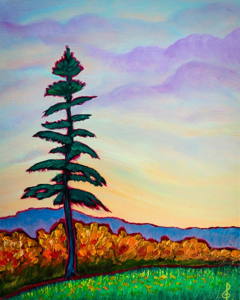 View From Castle Hill