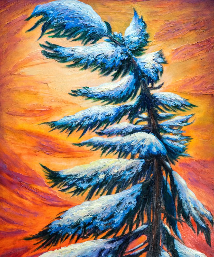 Pine Tree Winter Portrait