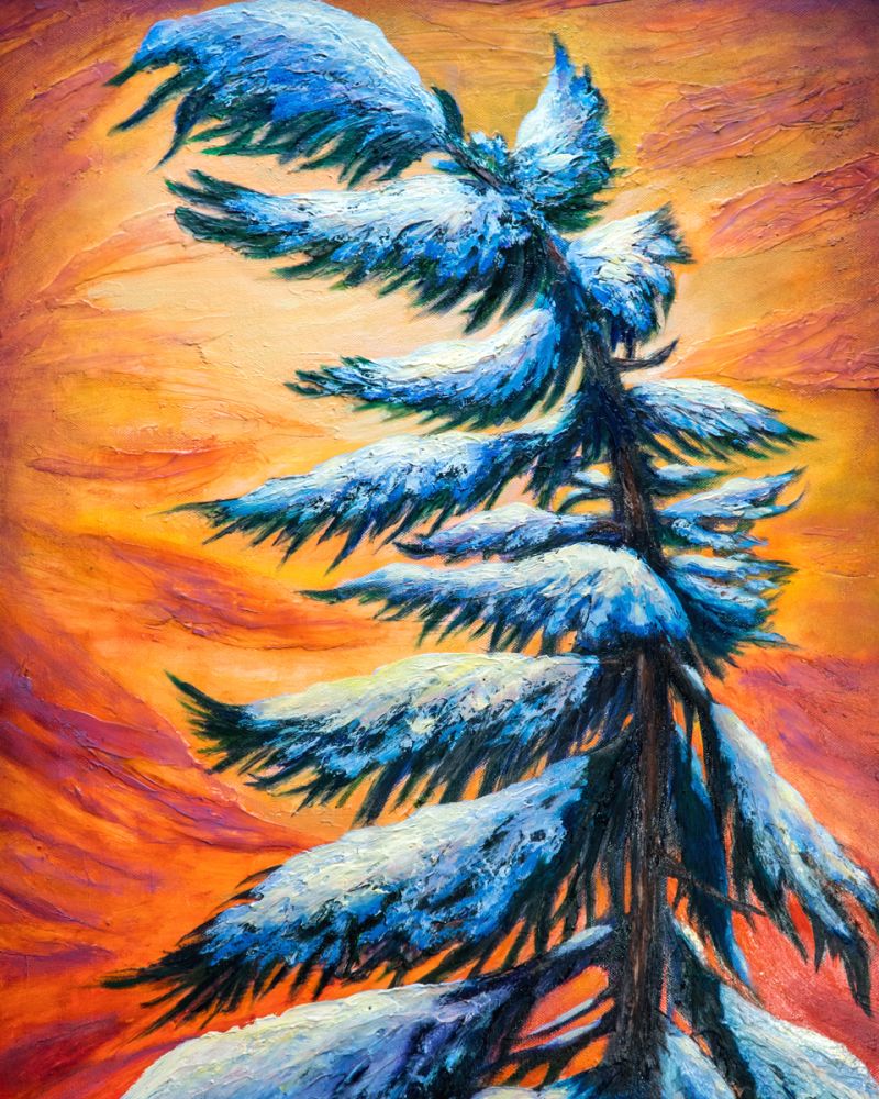 Pine Tree Winter Portrait