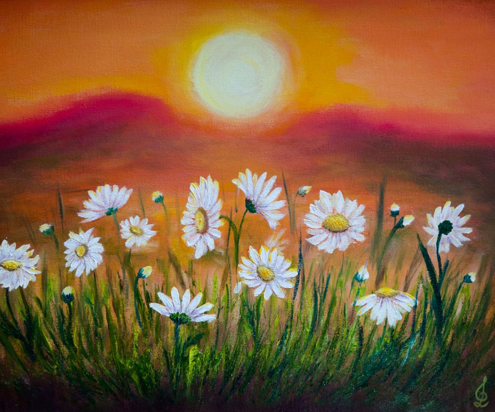 Daisies At Sunset