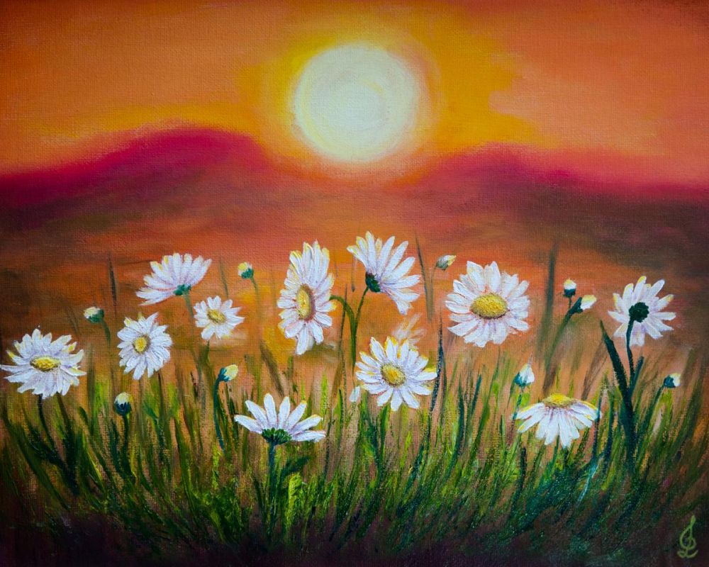 Daisies At Sunset