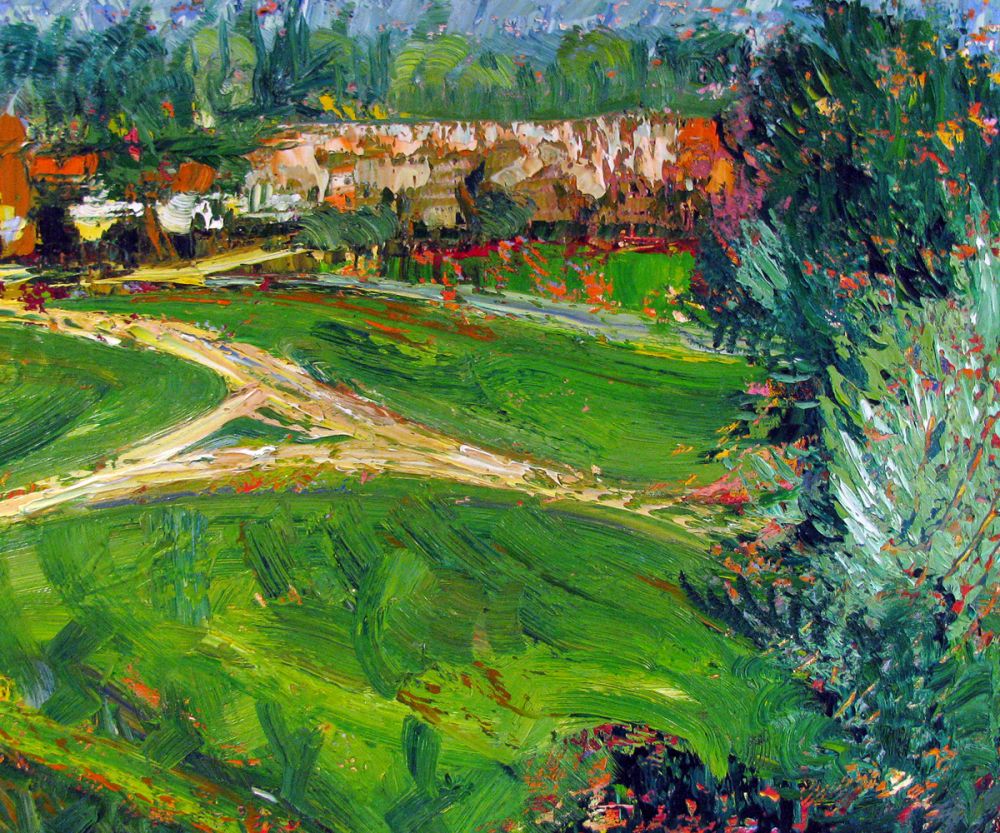 Overview of Santa Luz