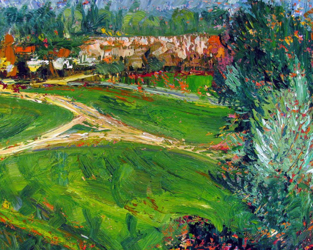 Overview of Santa Luz