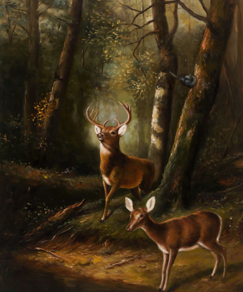 The Forest - Adirondacks