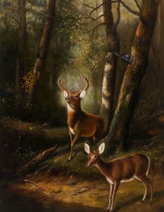 The Forest - Adirondacks