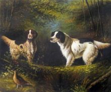 October in the Forest