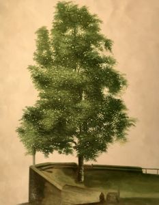 Linden Tree on a Bastion