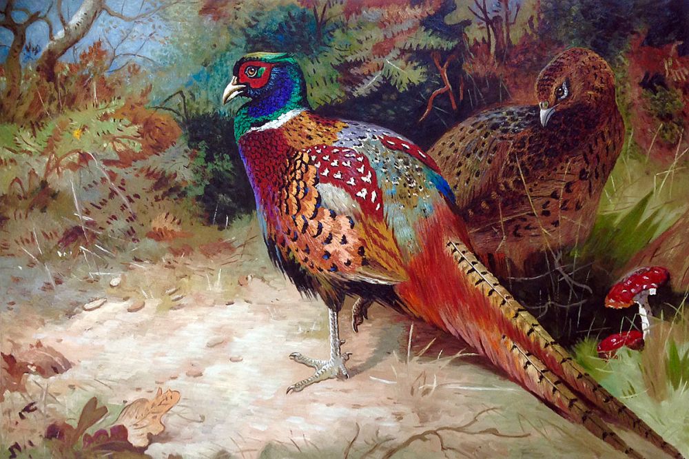 Rooster and Hen, 1927