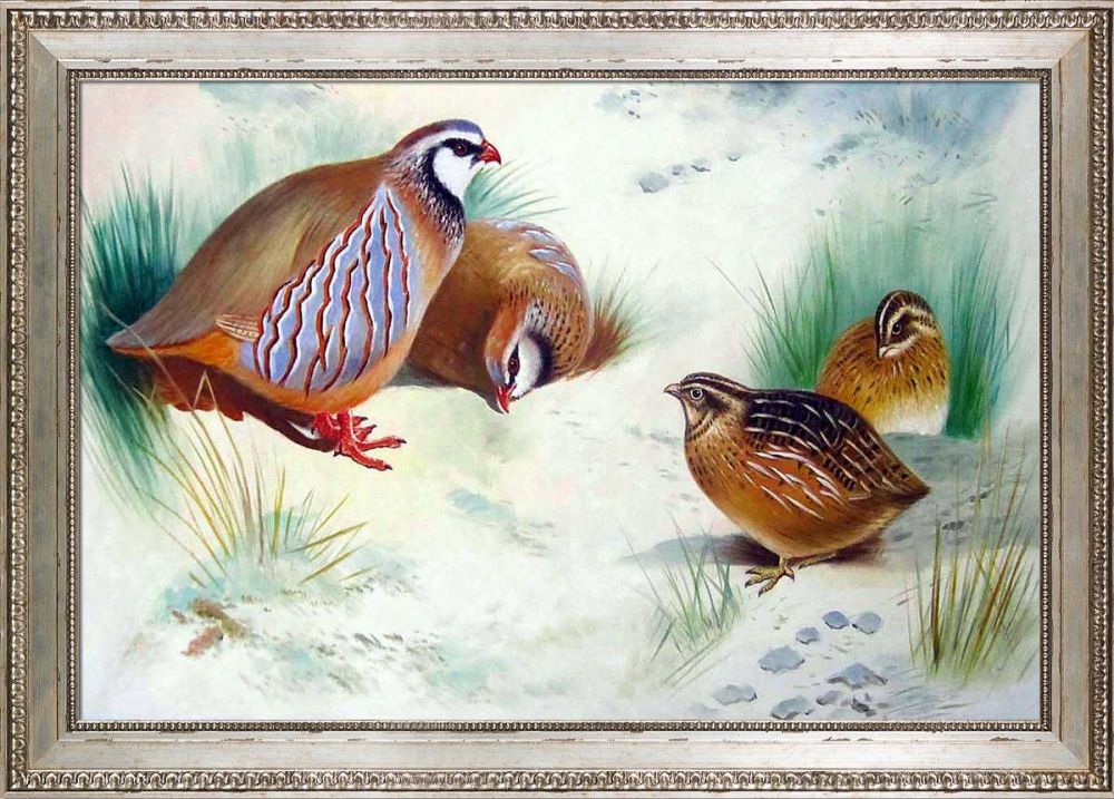 French Partridge and Chicks, 1915 Pre-Framed - Versailles Silver King Frame 24" X 36"